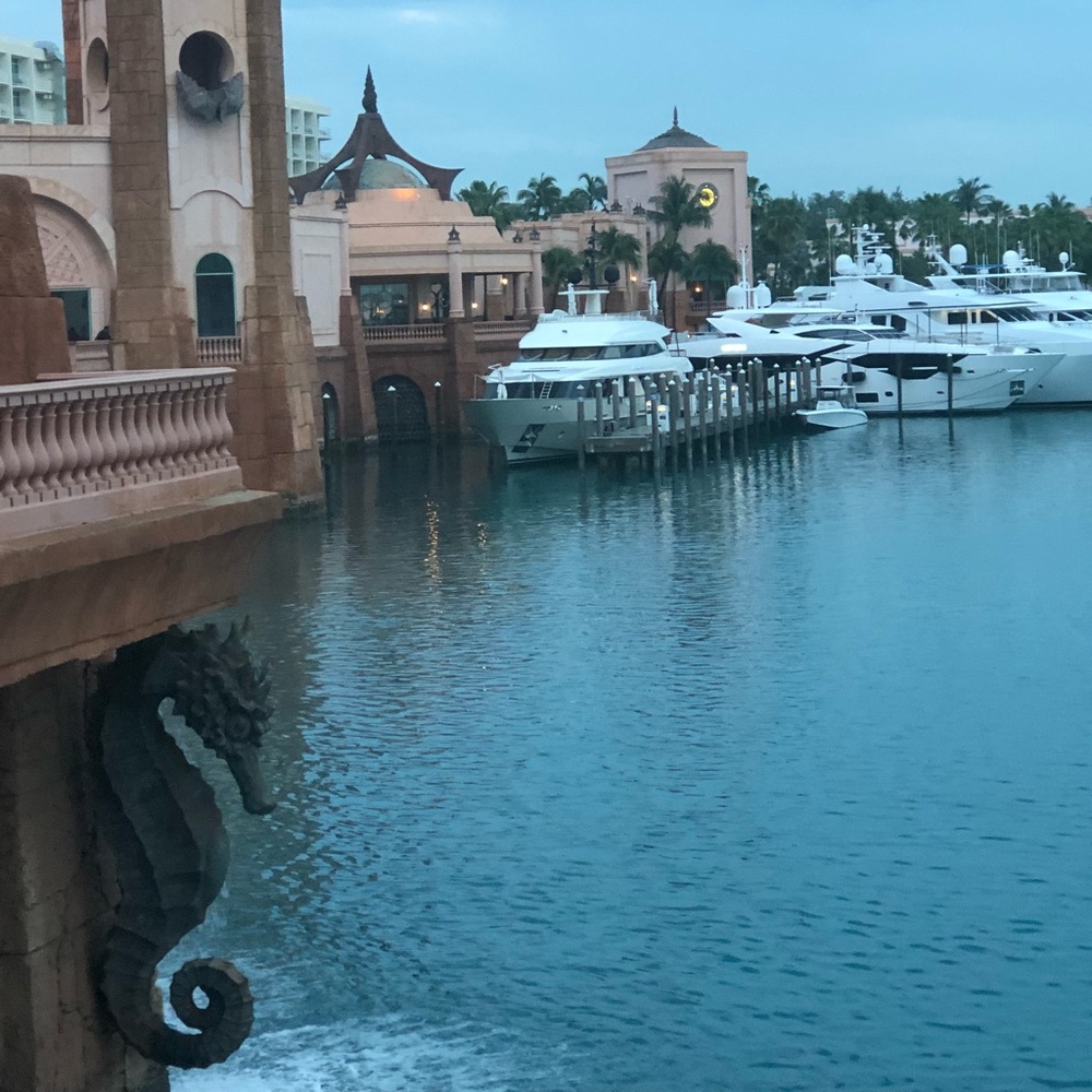 Meet your Posher, Joann